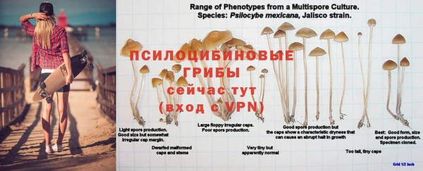 стафф Горнозаводск